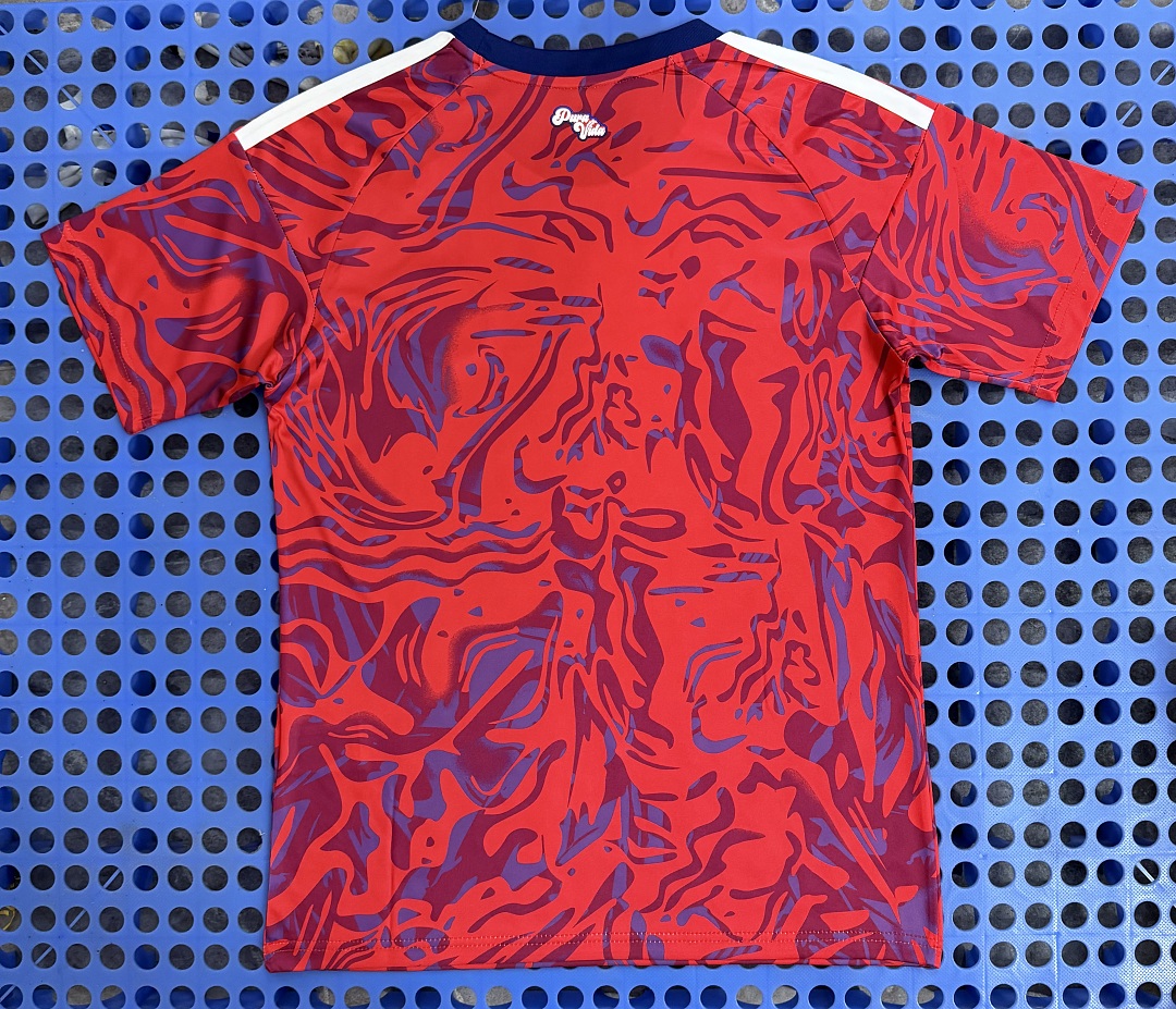 Maillot Costa Rica domicile 2026 — dos
